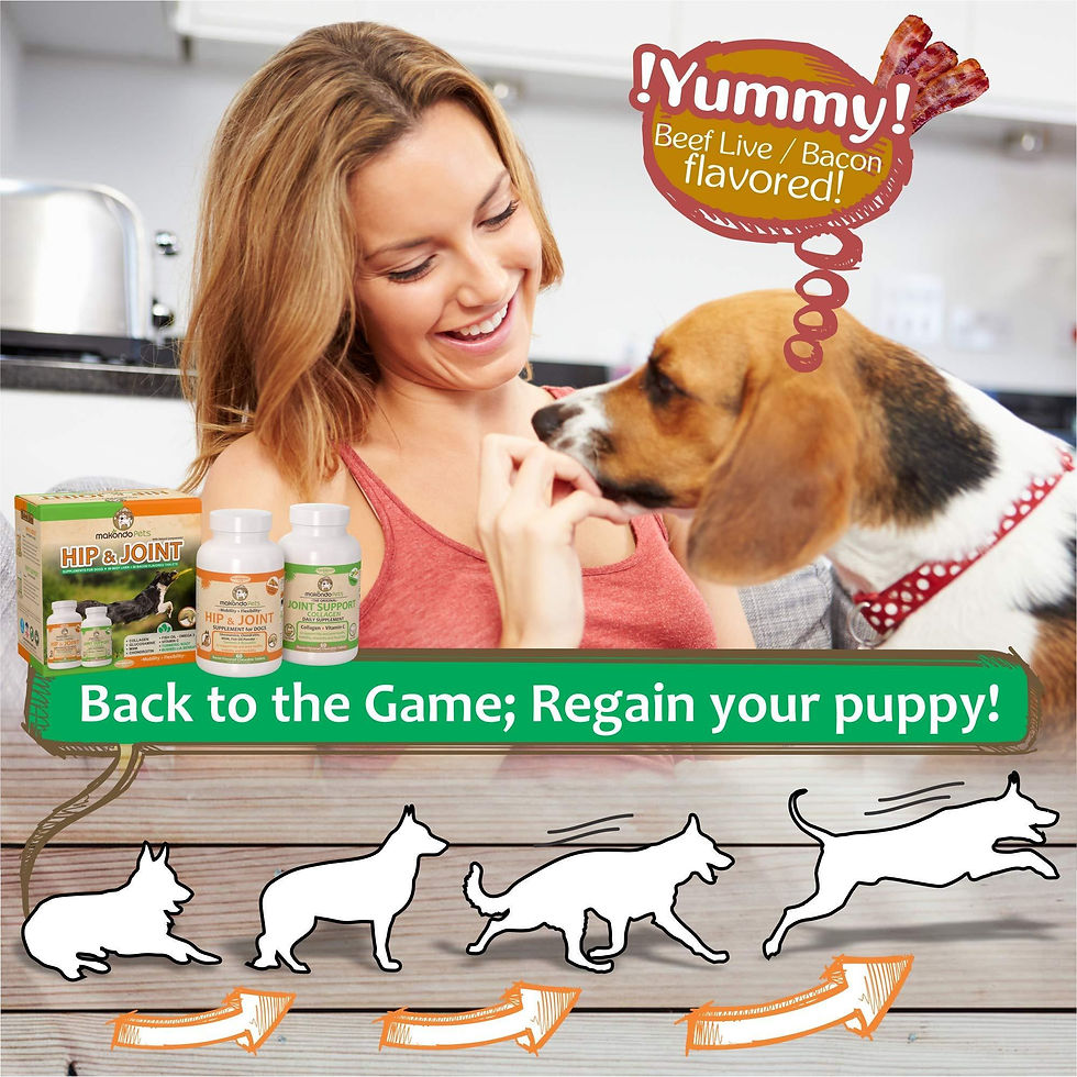 Thumbnail: Hip and Joint Supplement for Dogs with Chondroitin Collagen for Dogs Turmeric