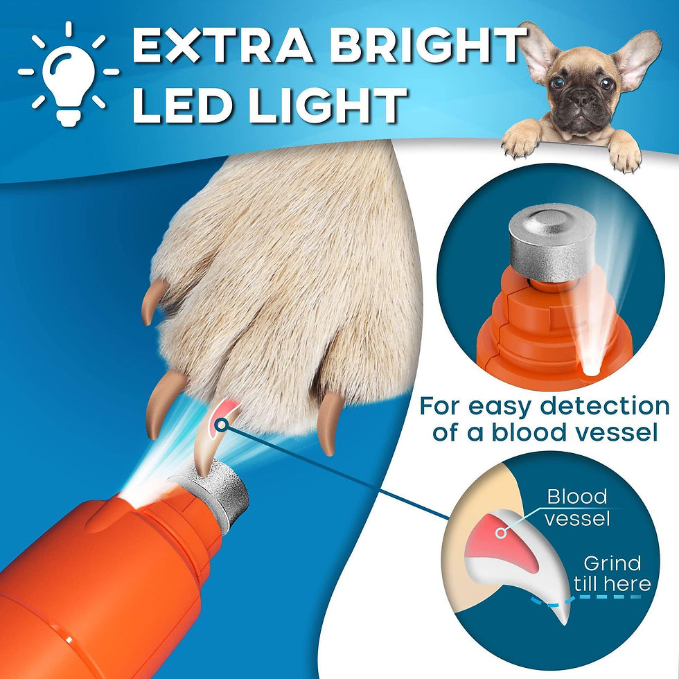 Thumbnail: Dog Nail Grinder with LED Light Rechargeable for Large Medium & Small Dogs