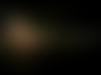 ..And to the Republic.. for which it stands