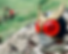 IMG_9258 (1).png