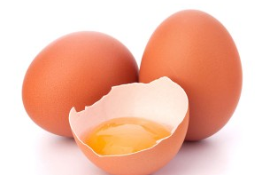 Information : L'œuf