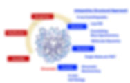 chromatin.jpeg