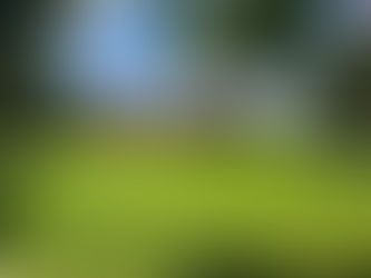 Contribuintes podem destinar imposto e apoiar crianças em situação de vulnerabilidade