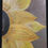 Thumbnail: Sunflower peeking 12x20