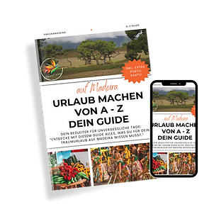 Kopie von Blue and Pink Soft Magazine Cover Mockup Instagram Post.png