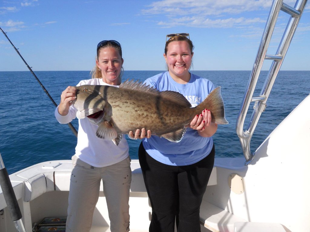 Bent Charters DeepSea Fishing Johns Pass/Treasure Island/Madeira Beach