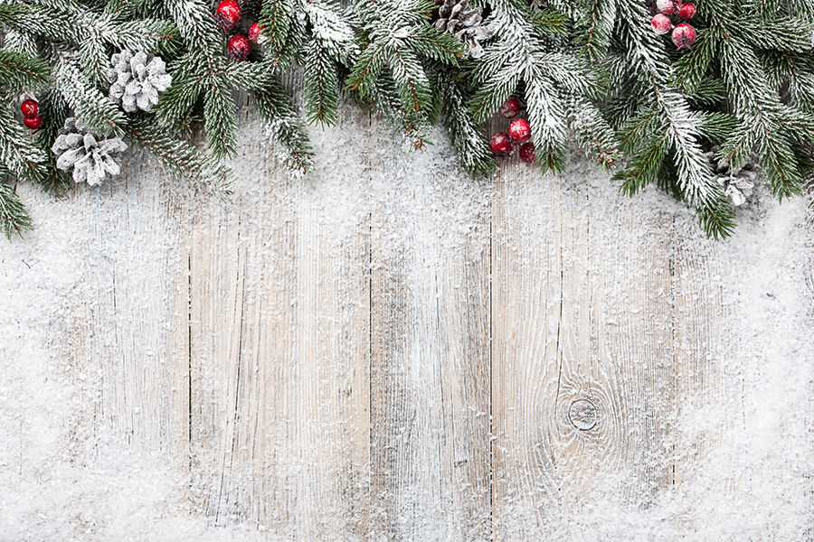xmas background.jpg
