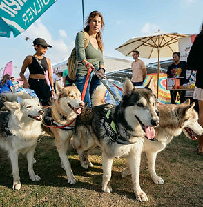 Dubai Feastival (461).jpg