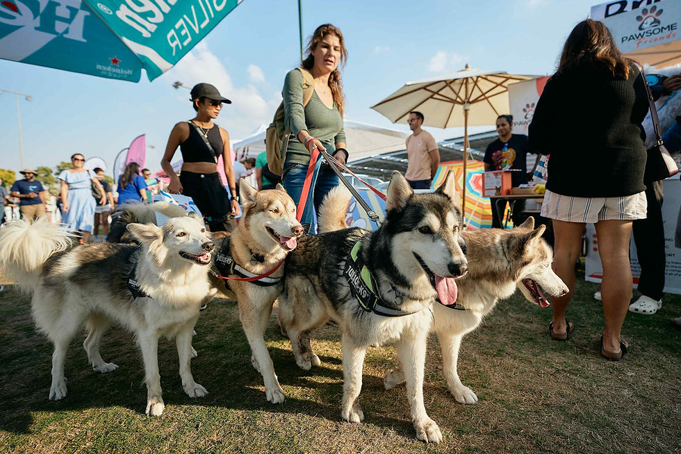 Dubai Feastival (461).jpg