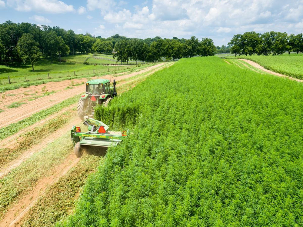 Changing the Hemp Industry