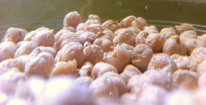 GARBANZOS – RECETA BASE