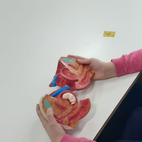 WhatsApp Image 2021-11-08 at 09.49.41.jpeg