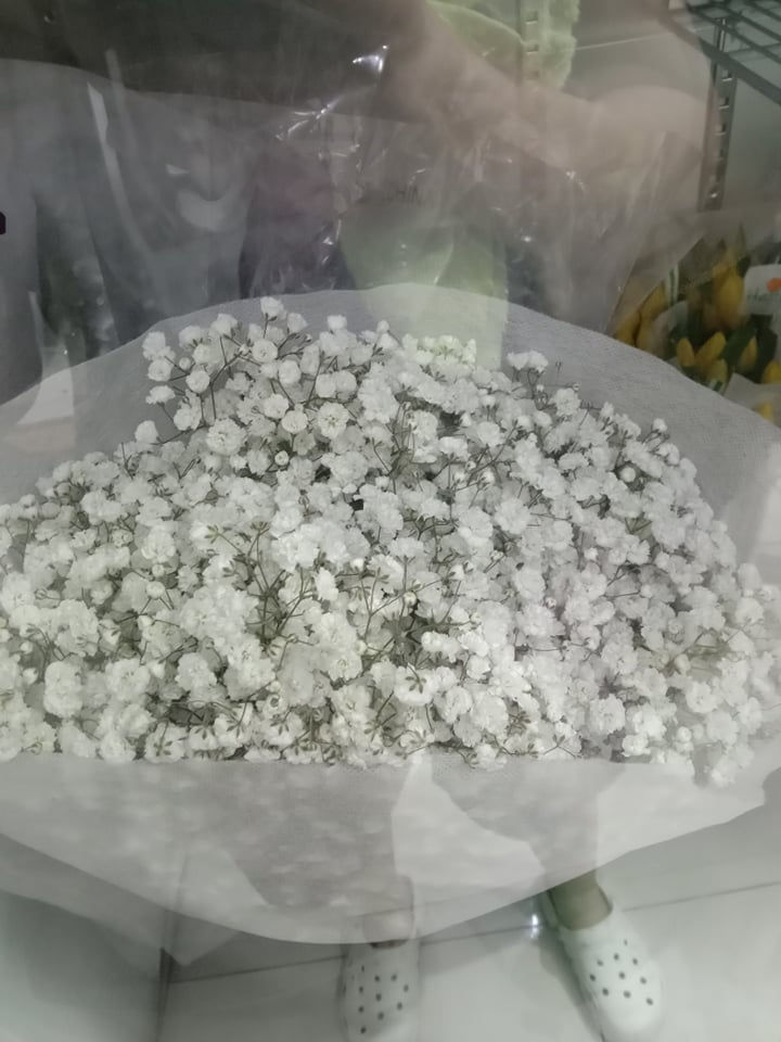 Thumbnail: Imported Flowers