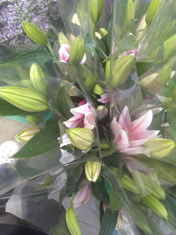 Thumbnail: Imported Flowers