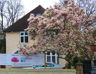Magnolia (1)_edited.jpg
