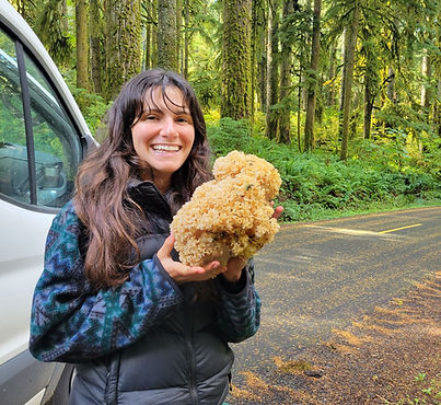 Cauliflower mushroom (1).JPG