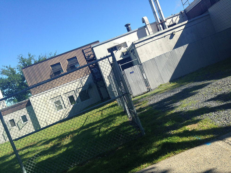Back of Halifax Bakery, by Gala Holm