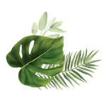 planta 2-01.png