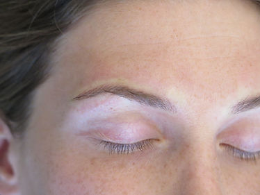 dark brows_65b.JPG