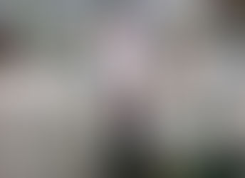 In case you missed it ... we've got you covered!