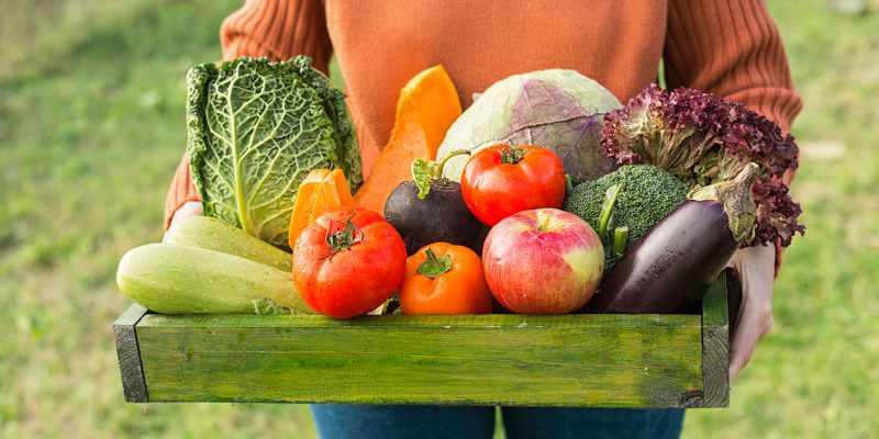 ALIMENTACIÓN ECOLÓGICA