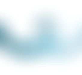 Looking Ahead – Trends Map for HR