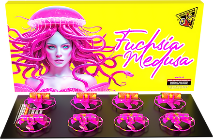 FUCHSIA MEDUSA | Sparky's