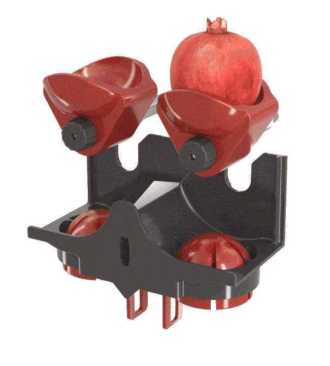 squeezing system pomegranate juice, Zummo EVS system