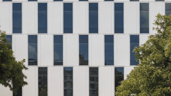 0ca845_f2b42caa56a34457b68c220e58b32d40_mv2.gif