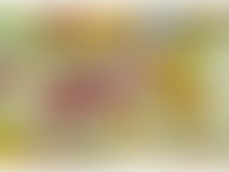 4: Ordering (“Ordenamiento”) composición y morfologías.