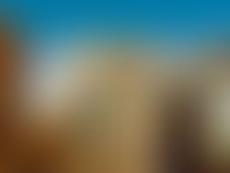 1: Praxis versus Función