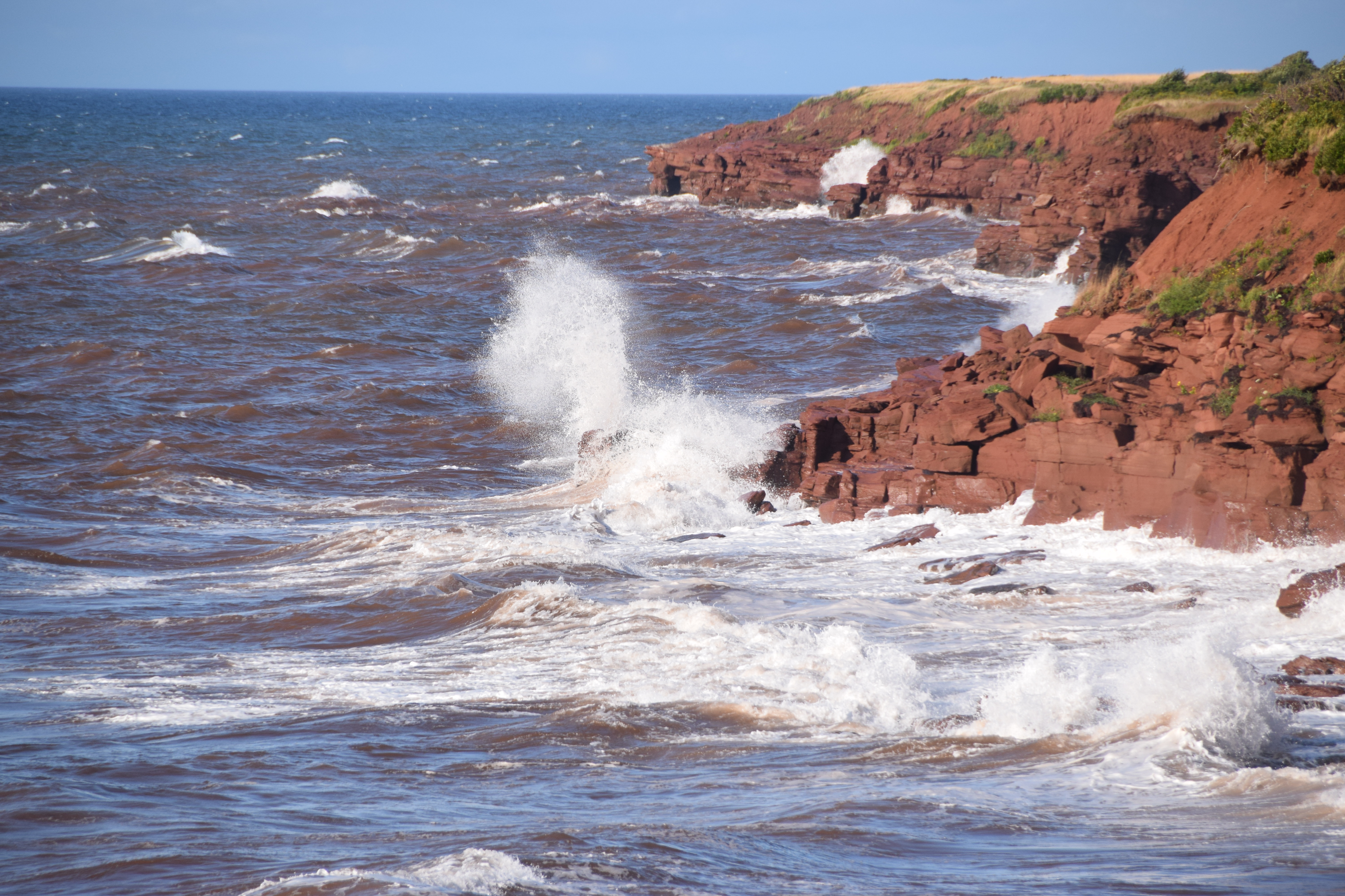 A Windy Day