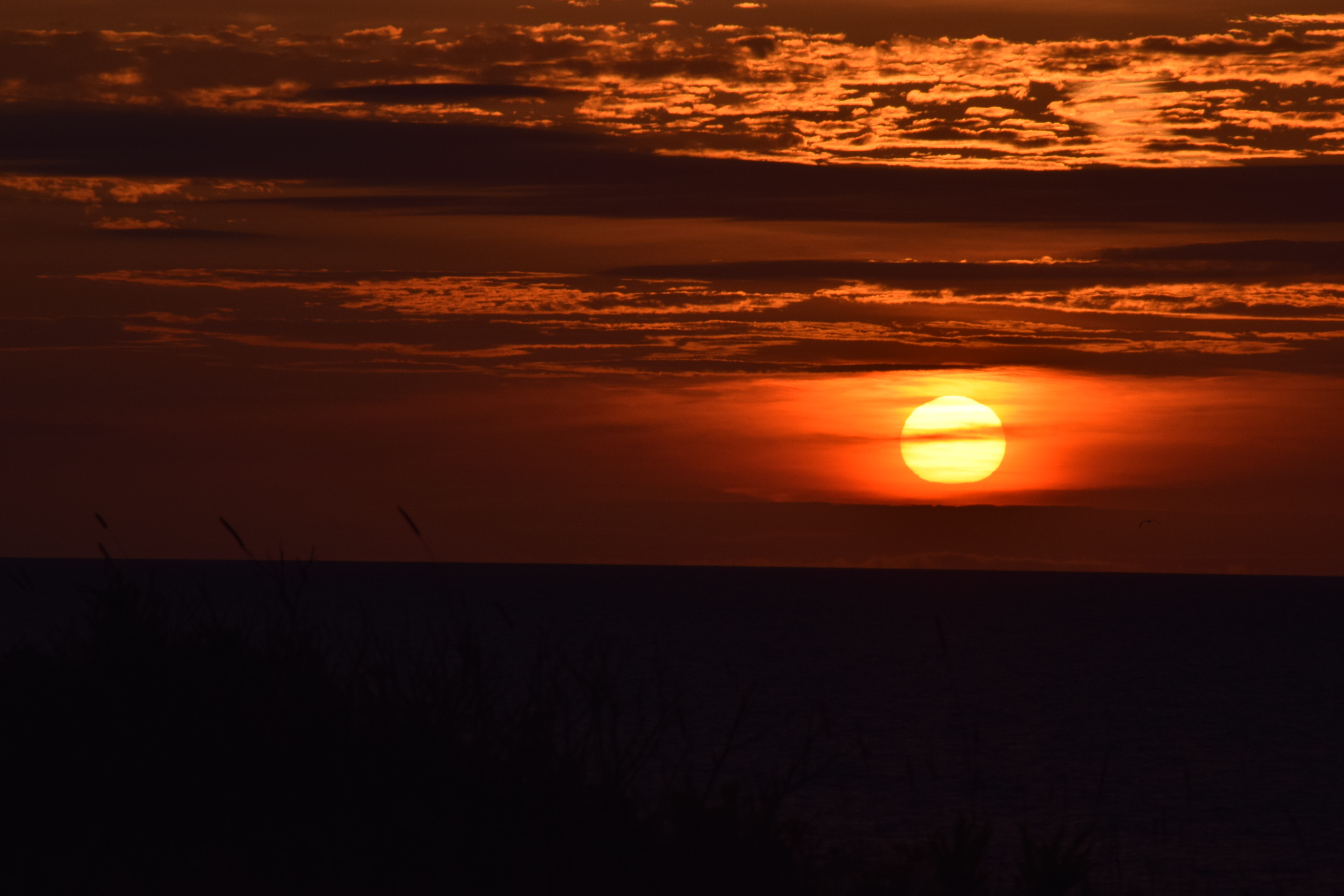 Early Morning Sunrise