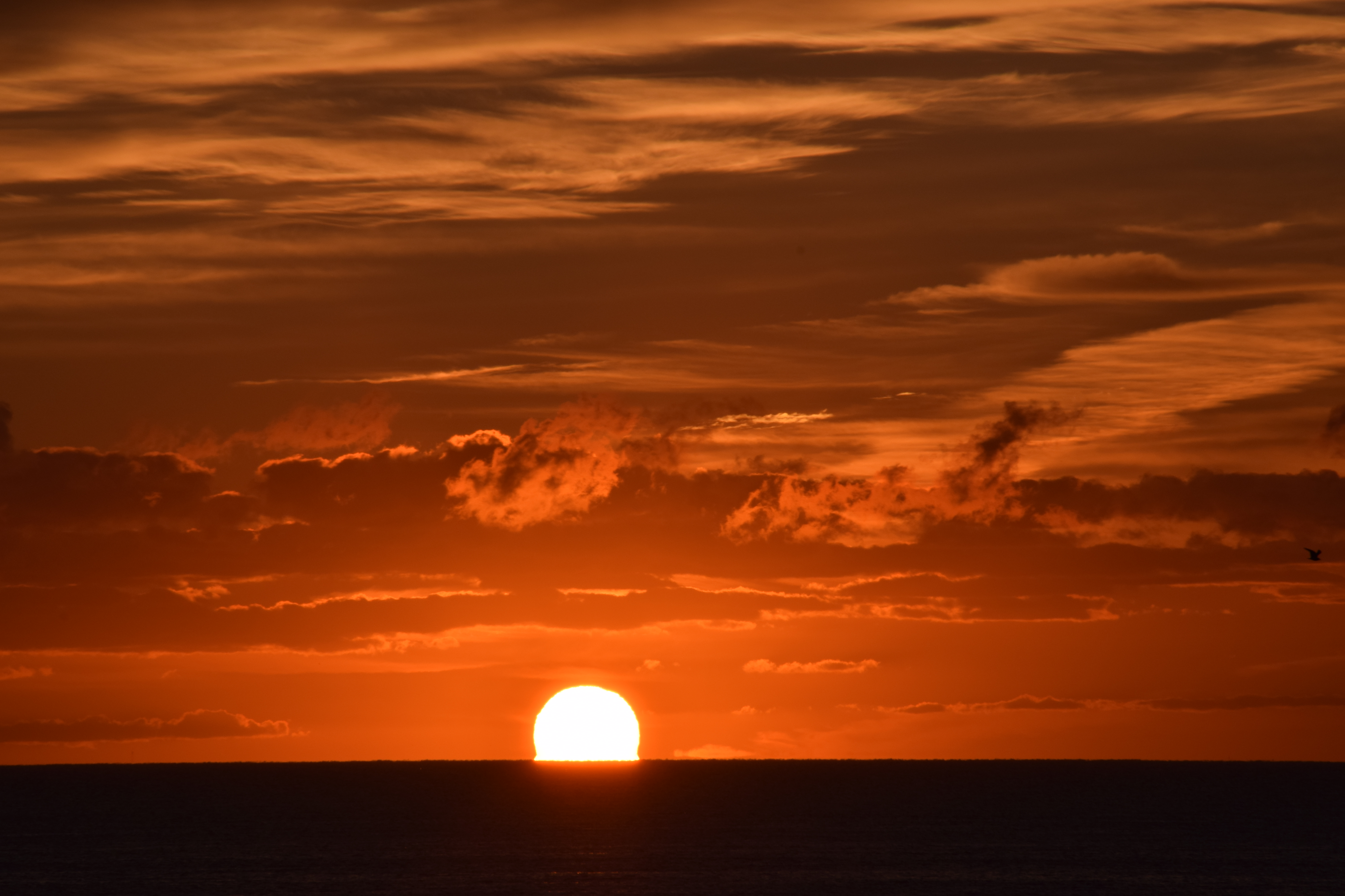 Sunrise