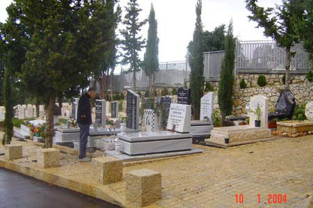 DSC00010.jpg