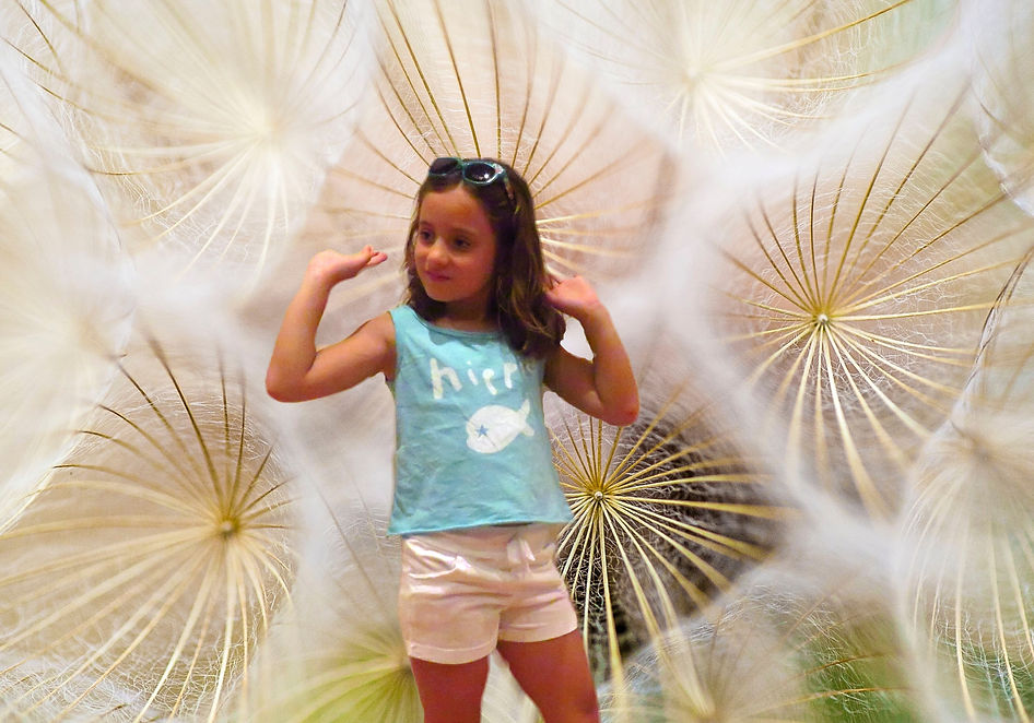 IMG_0369_edited_edited.jpg