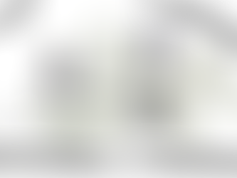 Celebrating a New Beginning! 