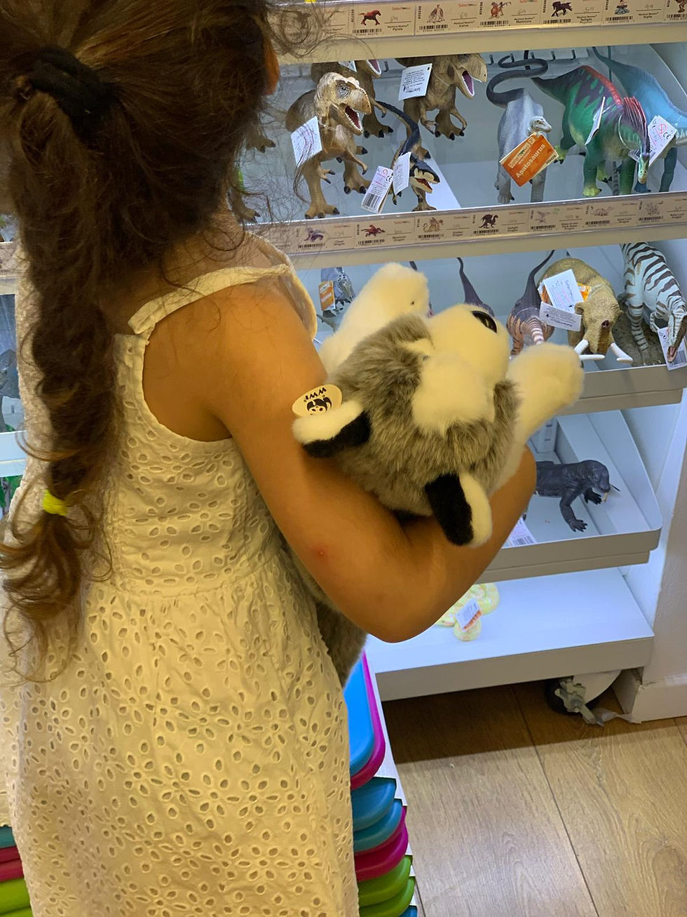 בובות פרווה של כלבים טומי ואניקה - חנות בתל אביב