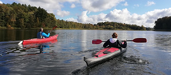IMG_20201017_120701.JPG