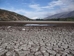 FB_IMG_1587645738751