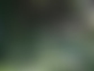 【あじさい】6/22(土)の様子