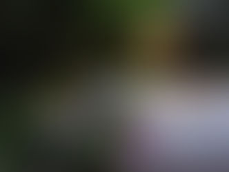 【カウントダウン】あと２日