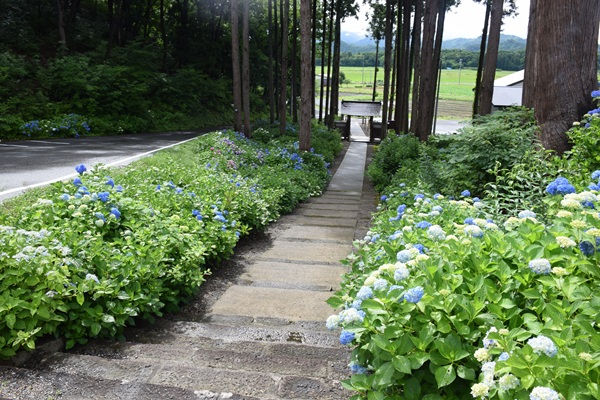 参道を登ったところから