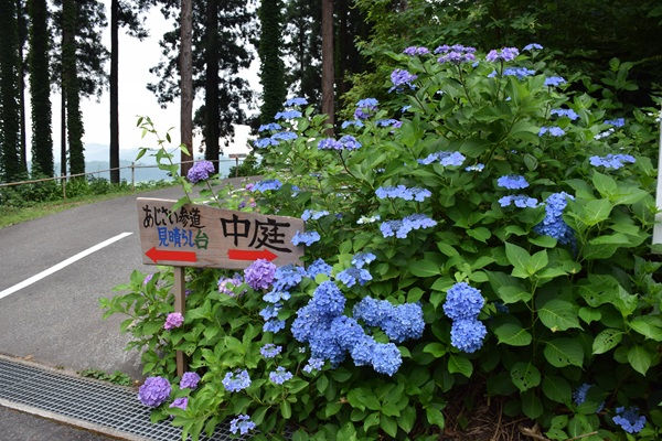 見晴らし台の方へ行ってみましょう