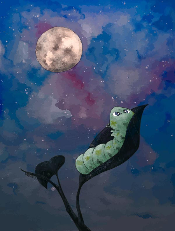 Quinta storia alibut