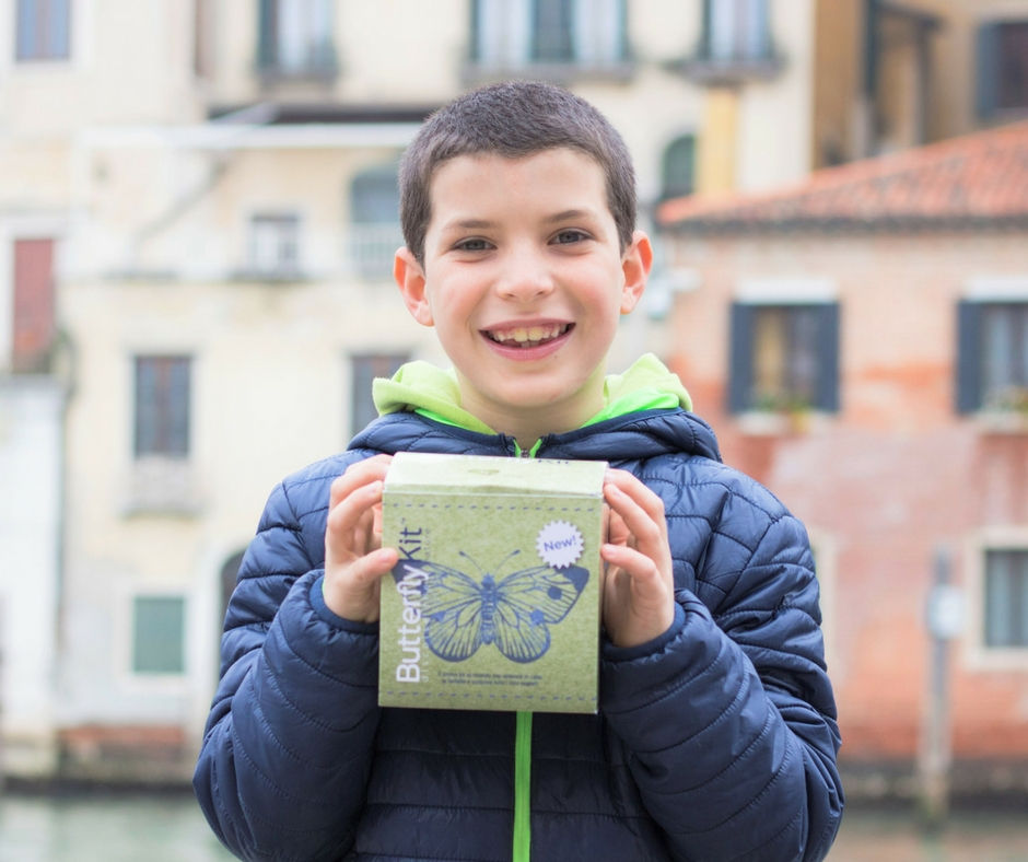 Smart Bug Insect Home EN | Smart Bugs DE