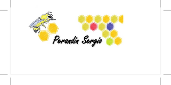 logo Perandin Sergio.png