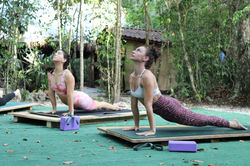 yoga in mexico