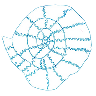 Macdonald Montessori School logo