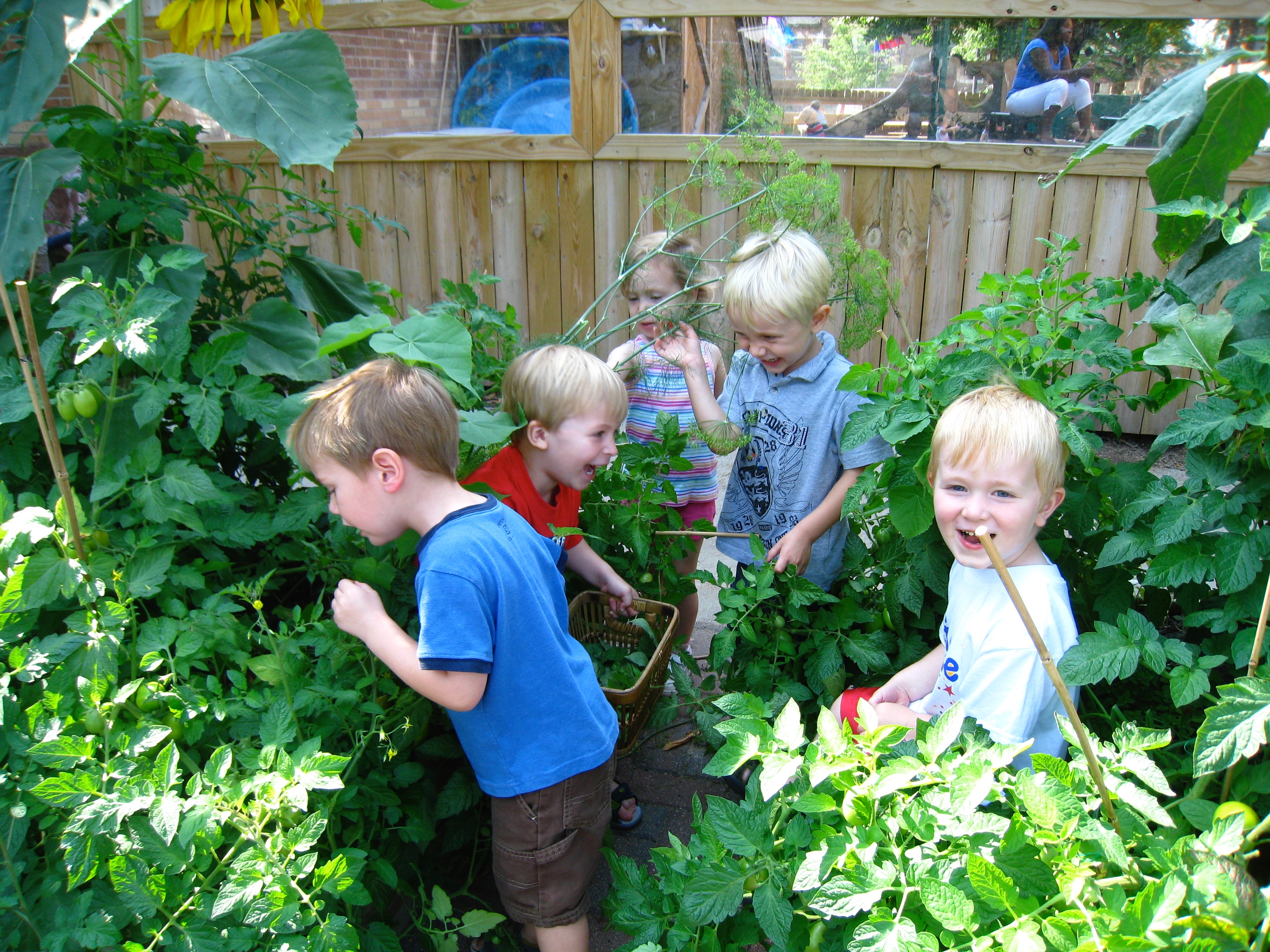 Home Macdonald Montessori